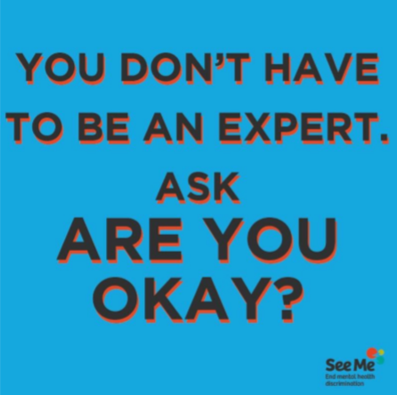 Slogan - You don't have to be an expert to ask - Are You OK?